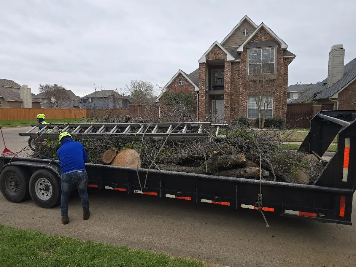 Expert Lot Clearing with proper safety equipment in Brownsville